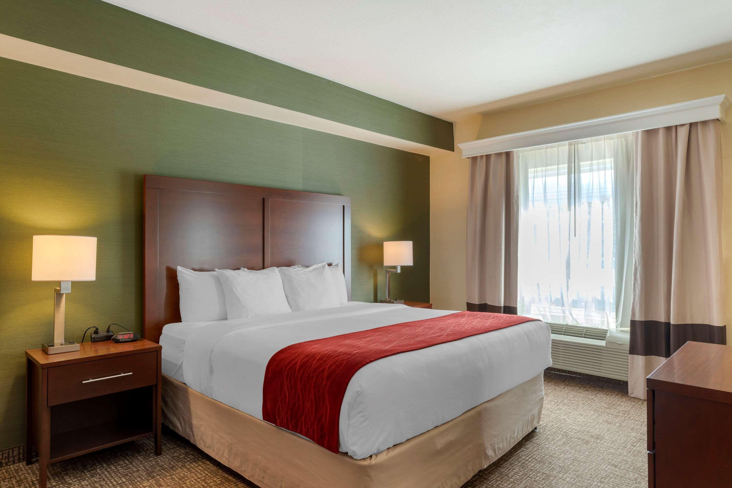 Comfort Inn & Suites סאלם מראה חיצוני תמונה